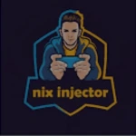 Nix injector