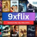 9Xflix APK