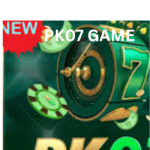 PK07 Game
