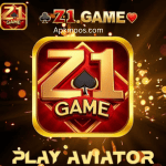 Z1 Game