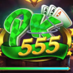h555 game